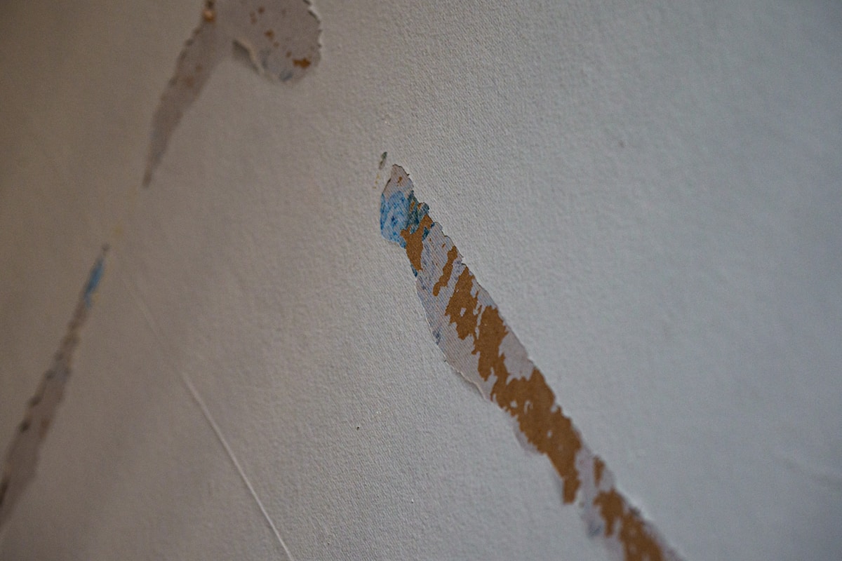 Mold Remediation service in Troy, NY